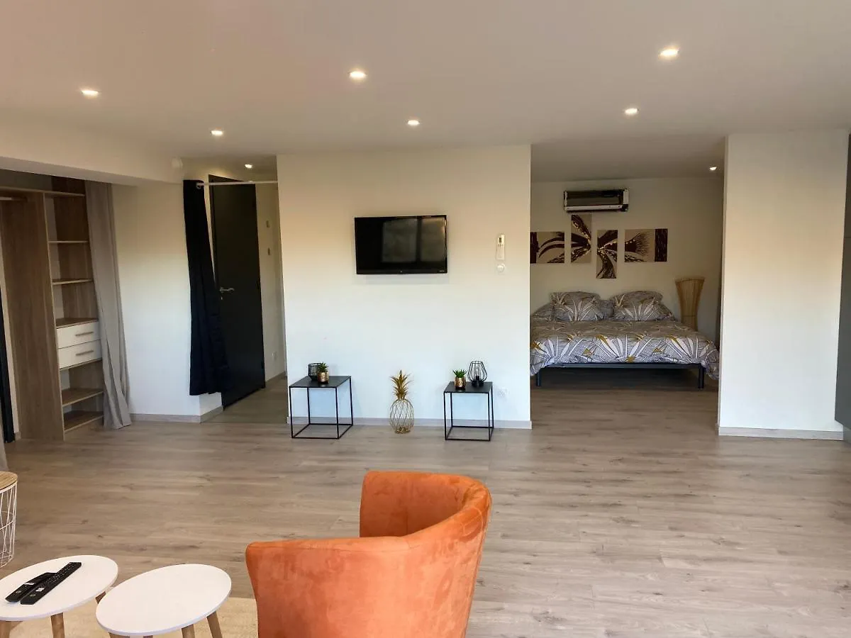 Loft Lumineux Et Moderne A Montauban Apartment France