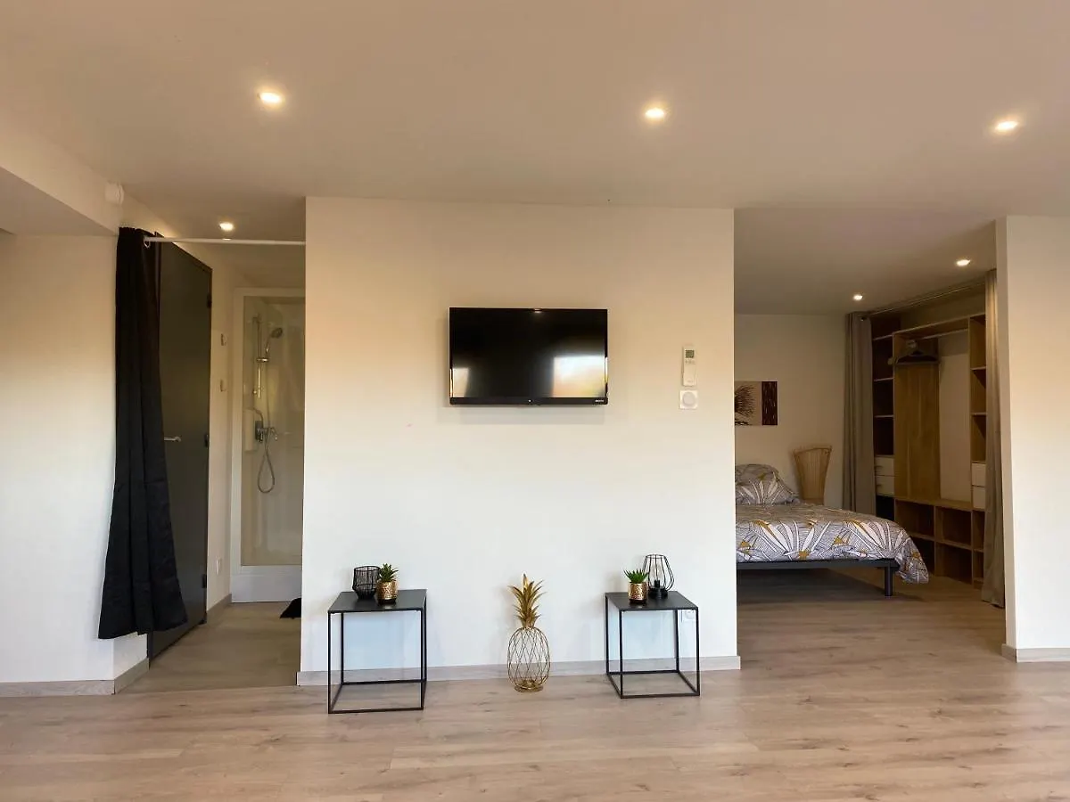 Loft Lumineux Et Moderne A Montauban Apartment France