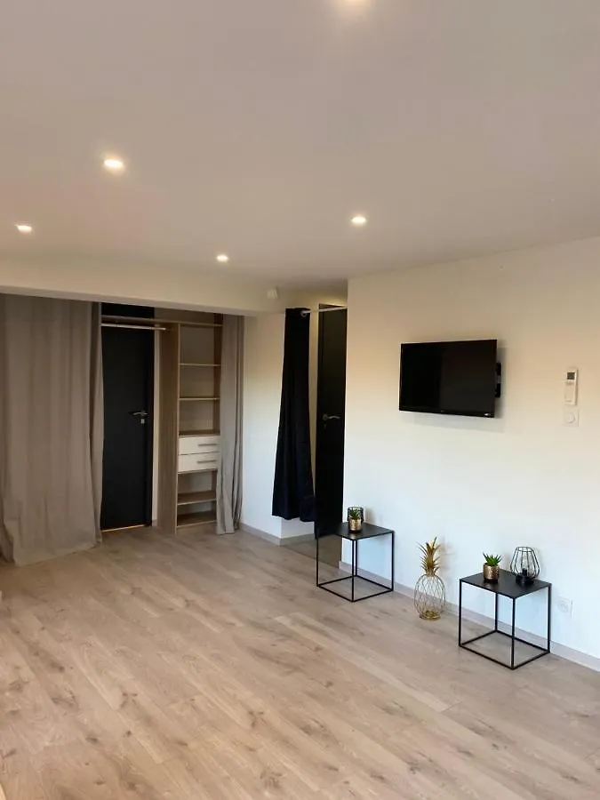 Loft Lumineux Et Moderne A Montauban Apartment France