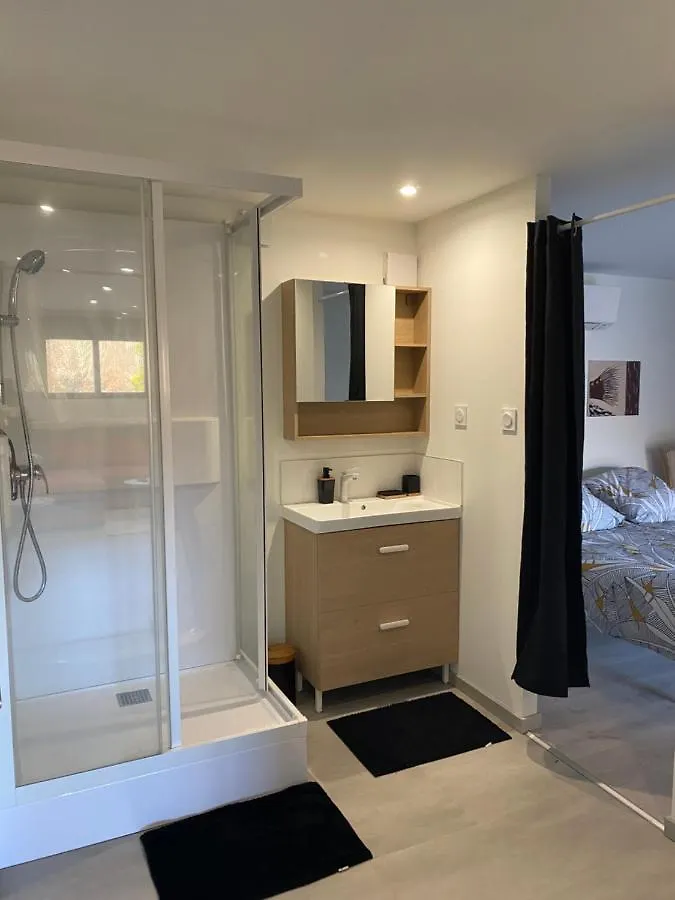 Loft Lumineux Et Moderne A Montauban Apartment